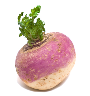 TurnTurnTurnip Profile Picture