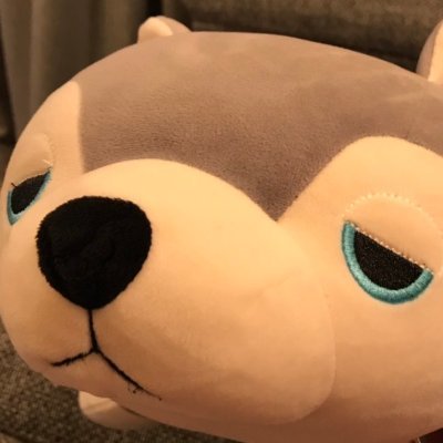 TR_20200502's profile picture. 健康指向エンジニア
note: https://t.co/EmY4l7Qnhr instagram: https://t.co/nOvDRKOINz