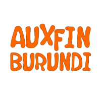 AUXFIN(@AuxfinB) 's Twitter Profile Photo