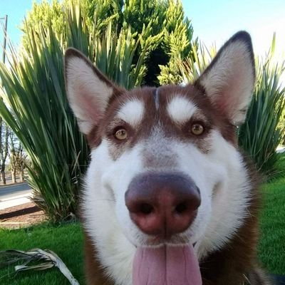 mode_1102's profile picture. 