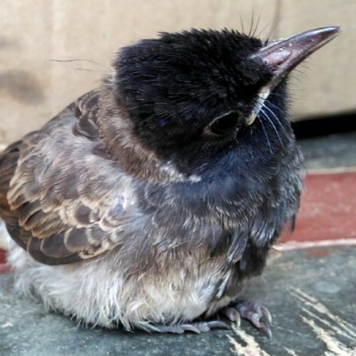 AparnaVK's profile picture. 