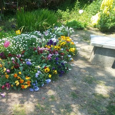 与論島出身で
岡山県に住んでますーーー。
歳の差婚で、３児の母、うち一人重度の心身障害児で
介護ときどき仕事、遊び、ラジオ活動
楽しく生きてます。なんくるないさー