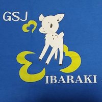ガールスカウト茨城県第41団(@GSibaraki41) 's Twitter Profile Photo