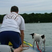 Tracy Blake (@tracer003) 's Twitter Profile