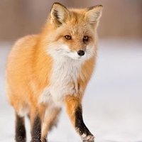 PayHuw (@payhuw) 's Twitter Profile Photo