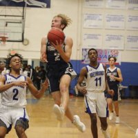 Trace Forest (@traceforest3) 's Twitter Profile