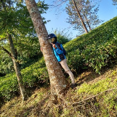 AldoPriambodo's profile picture.