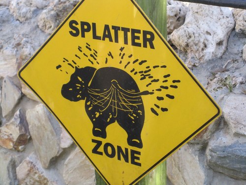 just like life stay out of the splatter zone