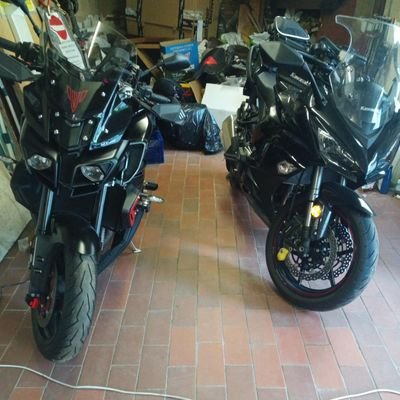 MilanTaichi's profile picture. ciò che mi rende particolare è il colore dei capelli, ciò che mi rende speciale è l'amore per i felini dai quali ho imparato ad affinare i sensi...