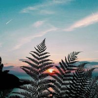 æ (@satuduathree) 's Twitter Profile