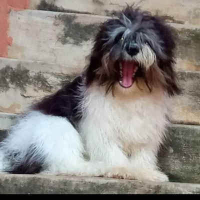 CERTIFIED_B87's profile picture. Happiness is a choice. Happiness is free.
