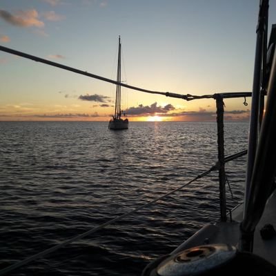 poussette loola 2007