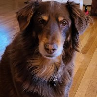 Jill McGaughy (@jillmcgaughy) 's Twitter Profile Photo Jill McGaughy (@jillmcgaughy) 's Twitter Profile Photo