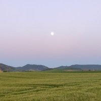 Zarbeta (@zarbeta) 's Twitter Profile Photo