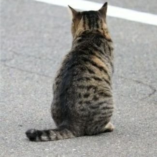 28rarin's profile picture. ドラマ三昧。