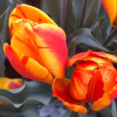 KadirKrky02's profile picture. 