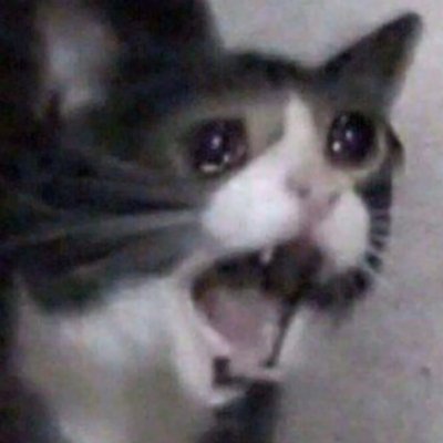 GrassBlade13's profile picture. "The only thing I fell when I pull the trigger.... is recoil" -(REDACTED) M 19