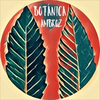 César Del Arco (@botanicambroz) 's Twitter Profile Photo César Del Arco (@botanicambroz) 's Twitter Profile Photo