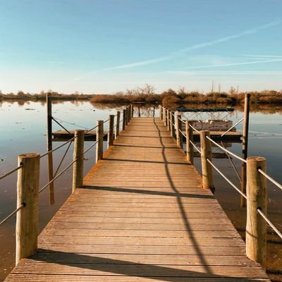 UHynw94mGpDCHc1's profile picture. 