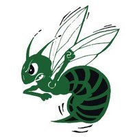 Highland Volleyball (@hornetvb2020) 's Twitter Profile