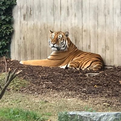 frida18550172's profile picture. Música,alegria, sin compromisos políticos LIBRE