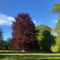 Richard Woods (@rwoods101) 's Twitter Profile