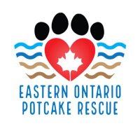 Eastern Ontario Potcake Rescue(@saveapotcake) 's Twitter Profileg