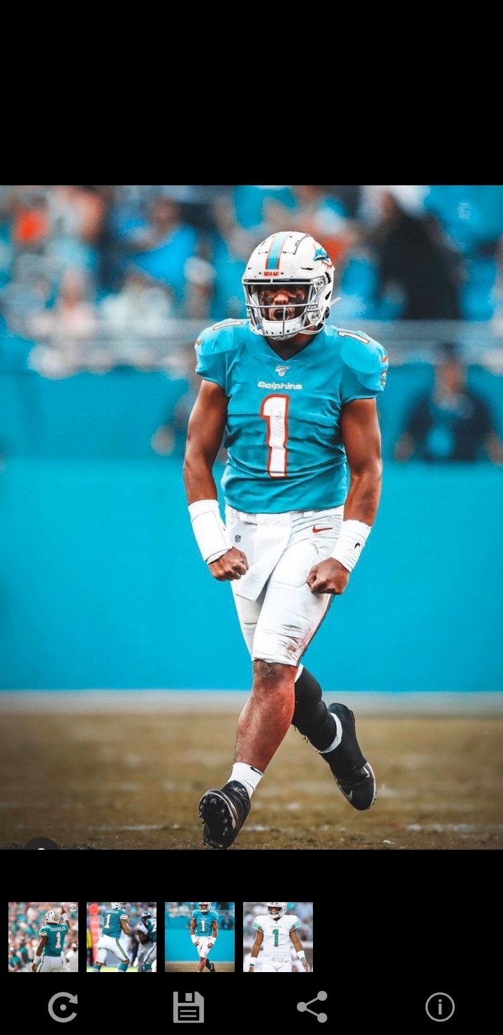 Miami Dolphins, there is no substitute.