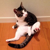高野健一 (@ktakano) 's Twitter Profile