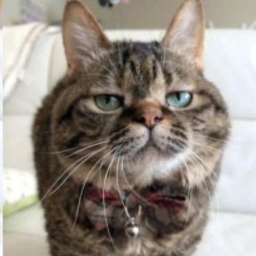 Evanooora's profile picture. I am infinite