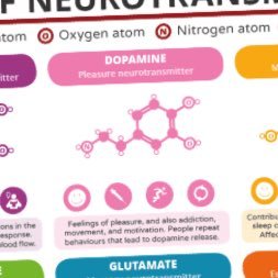 Balance Up Those Vital Neuro-Chemicals‘ #Biochemistry #feedyourtruenature ‘ #dopamine #serotonin #gaba #acetylcholine #glutamate #noradrenaline #endorphins