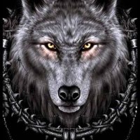 Albert Gonzalez (@gonzalez9321) 's Twitter Profile