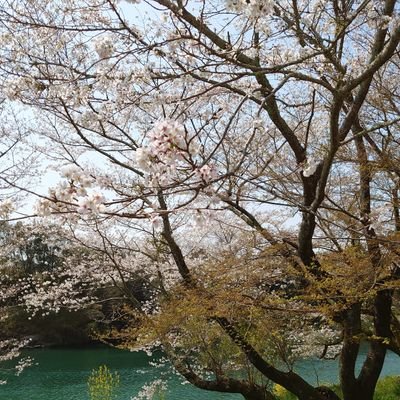 mo_momogashi's profile picture. 安倍さん率いる自民党を支持します。世界が自由で平和になれば良いと思っています。おかしな物はおかしいと言える世の中が理想。共産、立憲、社民は大嫌いです。日本人のプライドを持っていたいと思っています。良いねは必ずしも賛同を示してはいません。