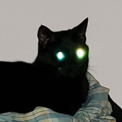 _vaughanclare_'s profile picture. 