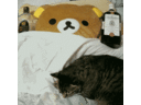 mokusan's profile picture. 元個人投資家、元個人アプリ開発者。mokuApps(@mokuApps)の中の人(現在休止中)。ハードもチョットだけわかるプログラマー。今はAIを追っかけてます。
