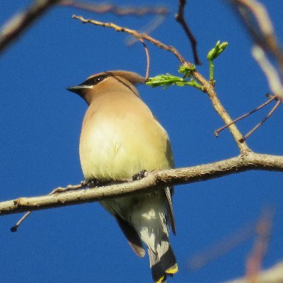 bowreget's profile picture. I enjoy technology, education, and  common sense.