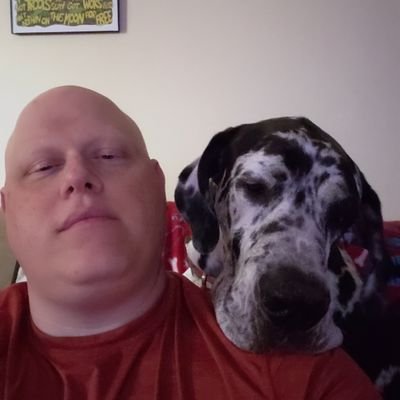 SholomWest's profile picture. 