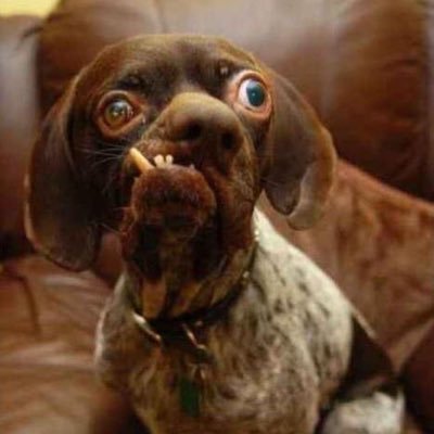 Jaro45552364's profile picture. 