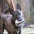 Marieke7819's profile image