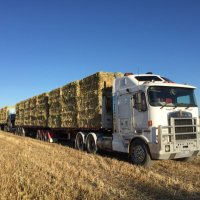 gene fuller (@genehfuller) 's Twitter Profile Photo