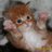 FillMixer's profile image