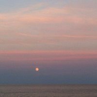 jsp712 (@jsp712) 's Twitter Profile