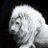 asutan_k's profile image