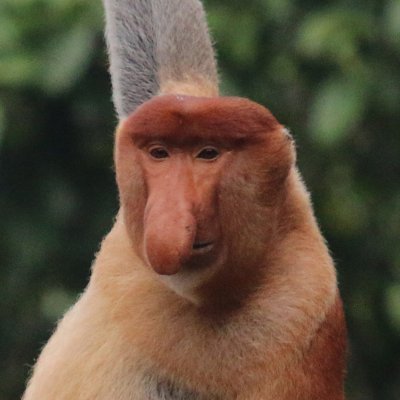 umer_rs's profile picture. Theoretical gamer

@OblivionPvm @Totus