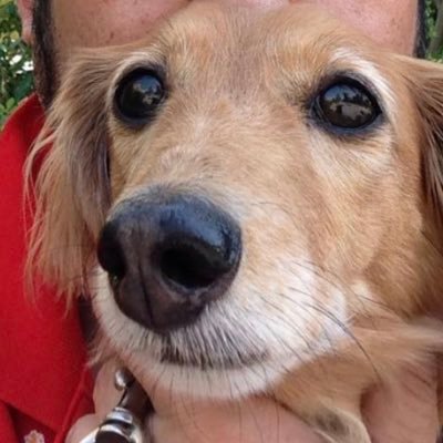 anz0407's profile picture. バイオリベ、ZX25R、3人麻雀、ビリヤード、釣り、大好き。Twitter、YouTube、ビギナー。