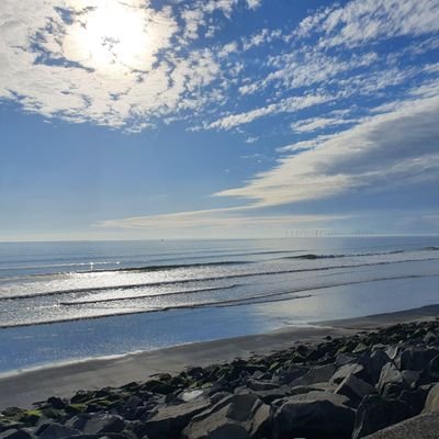 snipersdream99's profile picture. 