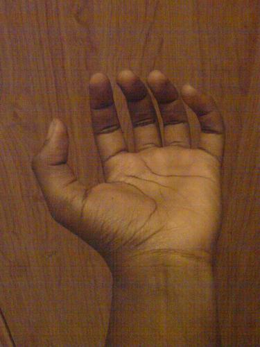 TheBunde's profile picture. 