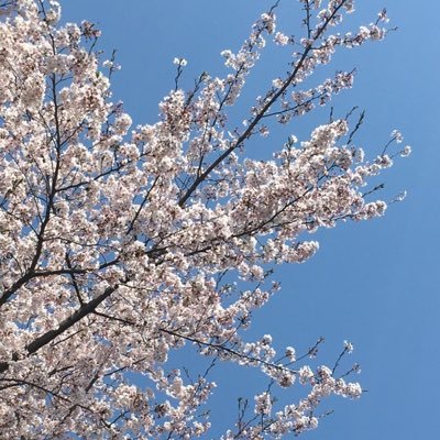塾講師 男┃アスペルガーの傾向あり┃大学時代に個別指導4年→別業界の正社員を2社退職→個別指導塾→現在に至る┃担当科目は小中学生の算数・数学・理科が中心┃授業をすることは何よりも好き┃集団指導はビギナー┃無言フォロー失礼いたします🙇♂️