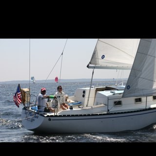 wlfme1441's profile picture. 