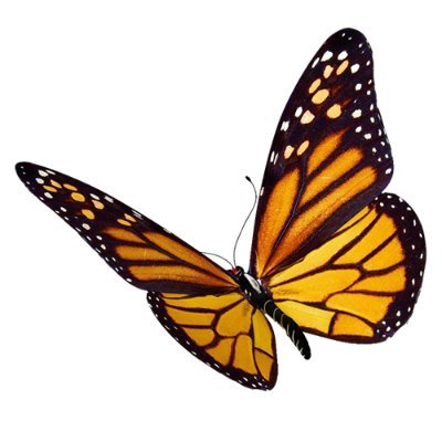 purepxl's profile picture. 